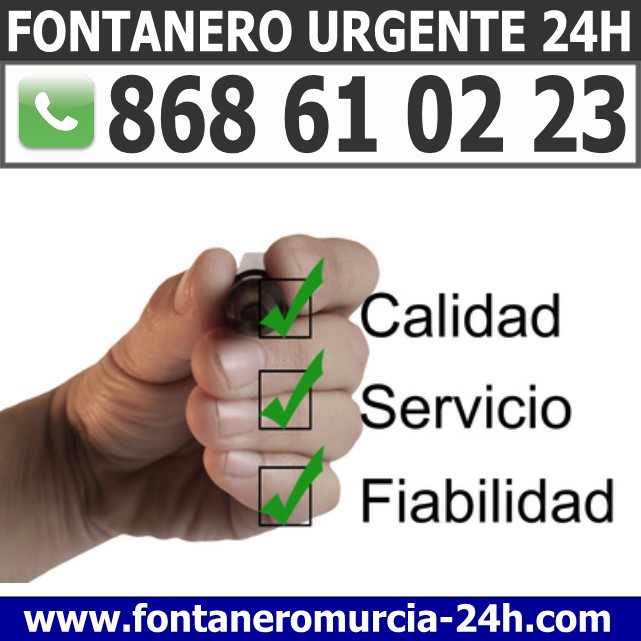 Fontanero en Cabezo de Torres