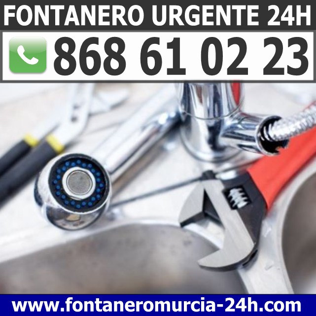 Fontanero en Algezares