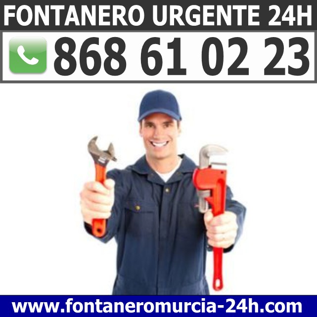 Fontanero en Cehegín
