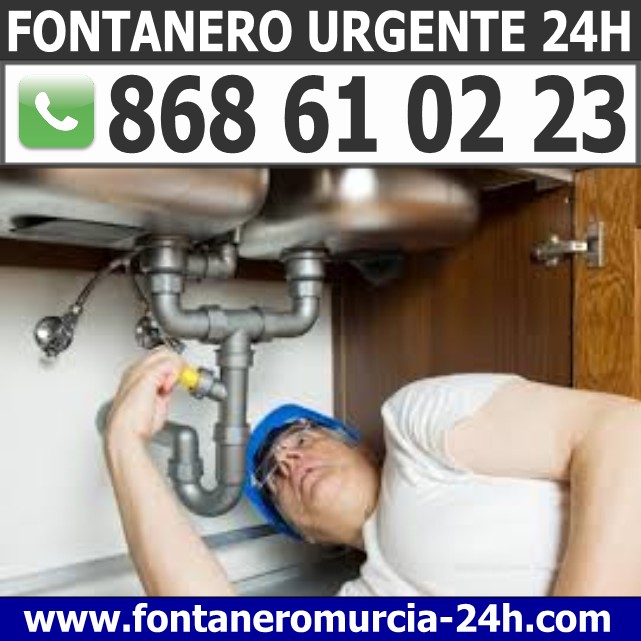 Fontanero en El Raal