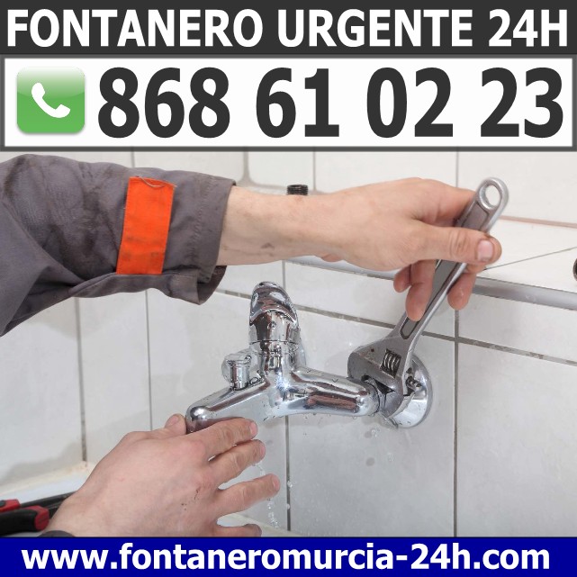Fontanero en Guadalupe