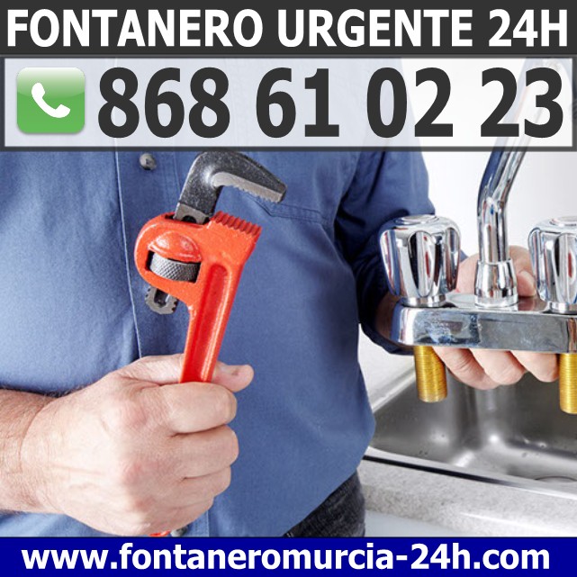 Fontanero en Islas Menores