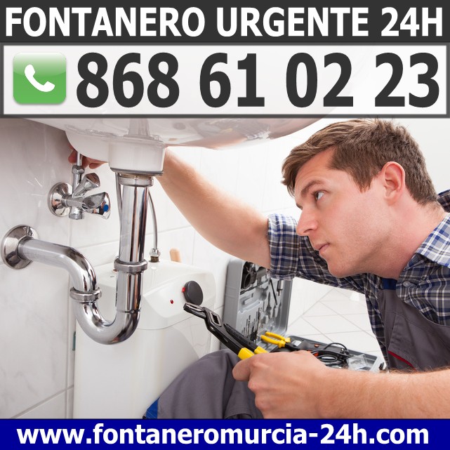 Fontanero en La Alcayna