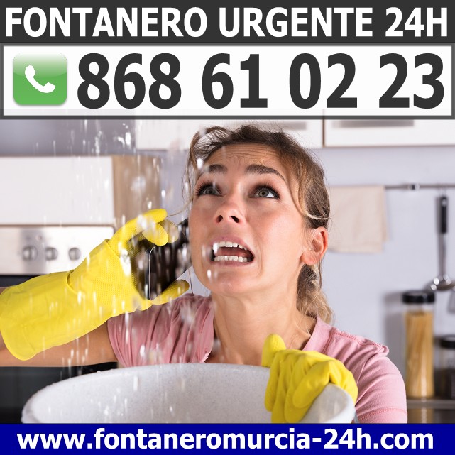 Fontanero en Molina de Segura